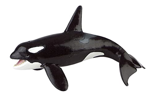 Bullyland 67409 - Spielfigur Schwertwal, ca. 16,5 cm große Tierfigur, detailgetreu, PVC-frei, ideal als kleines Geschenk für Kinder ab 3 Jahren Bullyland 67409 - Spielfigur Schwertwal, ca. 16,5 cm große Tierfigur, detailgetreu, PVC-frei, ideal als kleines Geschenk für Kinder ab 3 Jahren von Bullyland