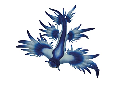 Bullyland 67511 - Spielfigur Blaue Ozeanschnecke, ca. 6,5 cm große Tierfigur, detailgetreu, PVC-frei, ideal als kleines Geschenk für Kinder ab 3 Jahren Bullyland 67511 - Spielfigur Blaue Ozeanschnecke, ca. 6,5 cm große Tierfigur, detailgetreu, PVC-frei, ideal als kleines Geschenk für Kinder ab 3 Jahren von Bullyland
