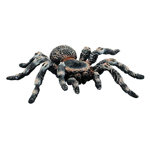 Bullyland 68457 - Spielfigur Weißknie Vogelspinne, ca. 8,5 cm große Tierfigur, detailgetreu, PVC-frei, ideal als kleines Geschenk für Kinder ab 3 Jahren Bullyland 68457 - Spielfigur Weißknie Vogelspinne, ca. 8,5 cm große Tierfigur, detailgetreu, PVC-frei, ideal als kleines Geschenk für Kinder ab 3 Jahren von Bullyland