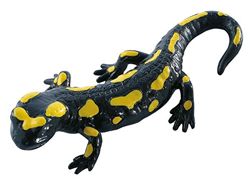 Bullyland 68493 - Spielfigur Feuer-Salamander, ca. 10,6 cm große Tierfigur, detailgetreu, PVC-frei, ideal als kleines Geschenk für Kinder ab 3 Jahren Bullyland 68493 - Spielfigur Feuer-Salamander, ca. 10,6 cm große Tierfigur, detailgetreu, PVC-frei, ideal als kleines Geschenk für Kinder ab 3 Jahren von Bullyland