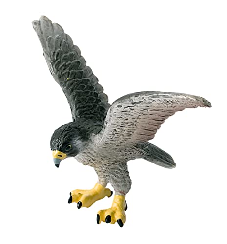 Bullyland 69356 - Spielfigur Wanderfalke, ca. 10,5 cm große Tierfigur, detailgetreu, PVC-frei, ideal als kleines Geschenk für Kinder ab 3 Jahren Bullyland 69356 - Spielfigur Wanderfalke, ca. 10,5 cm große Tierfigur, detailgetreu, PVC-frei, ideal als kleines Geschenk für Kinder ab 3 Jahren von Bullyland