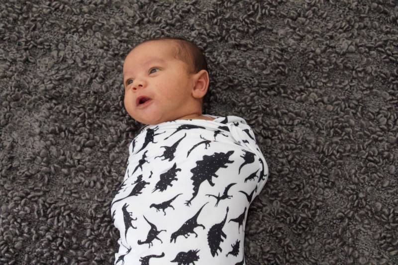 Bumblito Stretch Puck-Set - Rawr! Bumblito Stretch Puck-Set - Rawr! von Bumblito