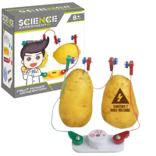Buroku - Bioelektrizitäts-Bausatz für Kinder | Strom Erzeugen mit Früchten und Getränken | Pädagogisches STEM-Spiel zur Einführung in die Elektrochemie | Ohne Batterien, Sicher und Einfach im Aufbau Buroku - Bioelektrizitäts-Bausatz für Kinder | Strom Erzeugen mit Früchten und Getränken | Pädagogisches STEM-Spiel zur Einführung in die Elektrochemie | Ohne Batterien, Sicher und Einfach im Aufbau von Buroku