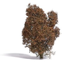 Busch - Filigranbusch Herbst Busch - Filigranbusch Herbst von Busch Modellspielwaren