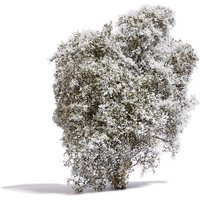 Busch - Filigranbusch Weiß blühend von Busch Modellspielwaren