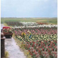 BUSCH 1205 H0 SPUR 0 Rosen von Busch