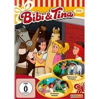 BUSCH 130368 DVD Bibi&Tina Pferdegala BUSCH 130368 DVD Bibi&Tina Pferdegala von Busch