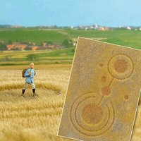 BUSCH 1311 H0 TT N »Groundcover«-Bodendecker: Kornkreise von Busch