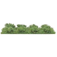 BUSCH 3603 H0 TT N 8 Micro-Sträucher, Spätsommer BUSCH 3603 H0 TT N 8 Micro-Sträucher, Spätsommer von Busch