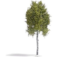 BUSCH 3781 H0 Birke 170 mm Frühling BUSCH 3781 H0 Birke 170 mm Frühling von Busch