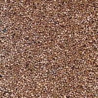 BUSCH 7063 H0 N TT Schotter mittelbraun 230 g BUSCH 7063 H0 N TT Schotter mittelbraun 230 g von Busch