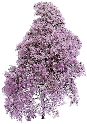 Busch 3587 Busch Frühling Lila, Blühend von Busch