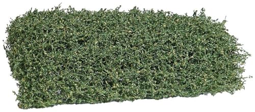 Busch 3599 Strauch Spätsommer 35mm langlebig und robust Busch 3599 Strauch Spätsommer 35mm langlebig und robust von Busch