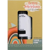 Mini-LED-Mikroskop - Gottes Schöpfung entdecken von Butzon & Bercker