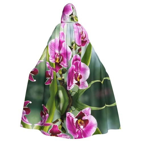 Bvrctyp Umhang mit Kapuze und Orchideenaufdruck, für Halloween, Weihnachten, Party, Cosplay Bvrctyp Umhang mit Kapuze und Orchideenaufdruck, für Halloween, Weihnachten, Party, Cosplay von Bvrctyp