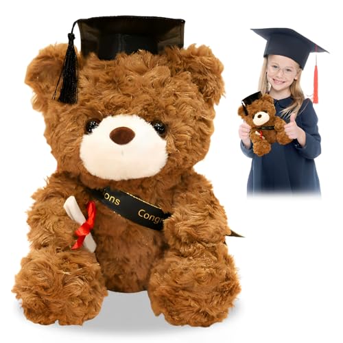 Teddybär Plüschtier,Plüsch Soft Toys Spielzeug,Examensbär,Abitur 2024 Geschenke,Plüschbär mit Diplom und Doktorhut,Graduation Gift,Abschluss Teddybär Plüschtier zum Bachelor Abschluss von Byhsoep