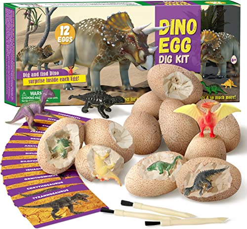 Byncceh Dinosaurier Eier Ausgrabungsset – Entdecken Sie 12 einzigartige Dinosaurier-Spielzeuge, lehrreiches Mint-Bastelgeschenk für Kinder – Entdecken Sie Paläontologie und Archäologie von Byncceh