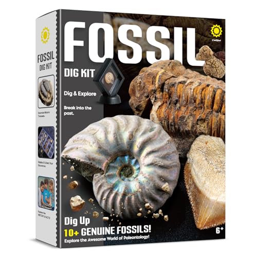 Byncceh Fossilien-Ausgrabungsset Byncceh Fossilien-Ausgrabungsset von Byncceh