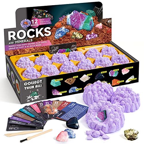Byncceh Mineralien Ausgrabungsset für Kinder ab 7 Jahren, Edelsteine Ausgraben Set mit 12 Mineralien Steine, Mineralogie Spielzeug Geologie Archäologie Geschenk für Kinder Jungen Mädchen Byncceh Mineralien Ausgrabungsset für Kinder ab 7 Jahren, Edelsteine Ausgraben Set mit 12 Mineralien Steine, Mineralogie Spielzeug Geologie Archäologie Geschenk für Kinder Jungen Mädchen von Byncceh