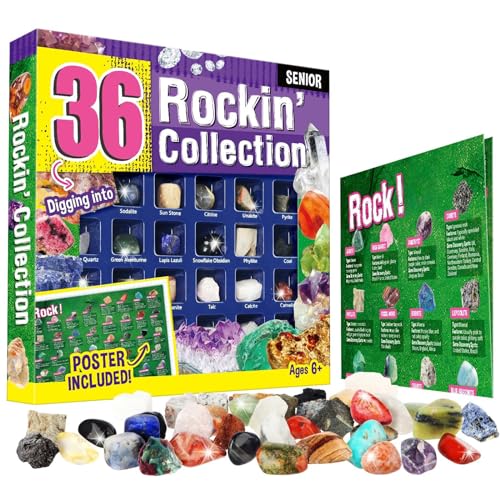 Byncceh Mineralien Set 36 StüCk Edelstein füR Kinder, Mineraliensammler und Edelstein-Liebhaber, Geologie-Edelsteinset und Kristalle füR MäDchen Jungen, Edelsteine Mit Identifikationsblatt Byncceh Mineralien Set 36 StüCk Edelstein füR Kinder, Mineraliensammler und Edelstein-Liebhaber, Geologie-Edelsteinset und Kristalle füR MäDchen Jungen, Edelsteine Mit Identifikationsblatt von Byncceh