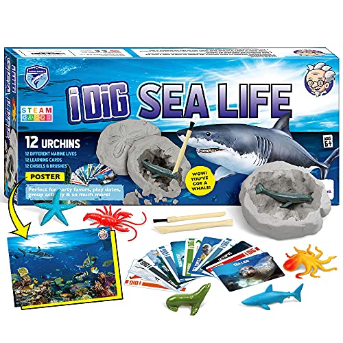 Byncceh Ocean Shark Ausgrabungsset Byncceh Ocean Shark Ausgrabungsset von Byncceh
