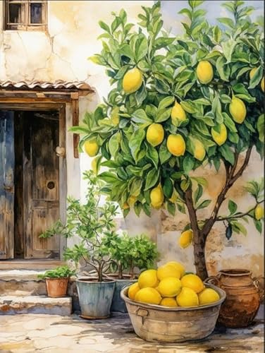 Puzzle für Erwachsene, Amalfizitronen, Positano, herausfordernd, pädagogisch lustig, Familienaktivitäten, Spiele, Spielzeug, Geschenke, Holzpuzzle, 1000 Teile Puzzle für Erwachsene, Amalfizitronen, Positano, herausfordernd, pädagogisch lustig, Familienaktivitäten, Spiele, Spielzeug, Geschenke, Holzpuzzle, 1000 Teile von C&TW