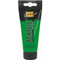 C.KREUL 84133 SOLO GOYA Acrylic Permanentgrün 100 ml Tube C.KREUL 84133 SOLO GOYA Acrylic Permanentgrün 100 ml Tube von C.KREUL