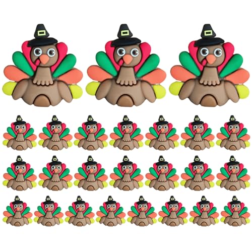 CAKEEYUM 25pcs Truthahndekor von CAKEEYUM