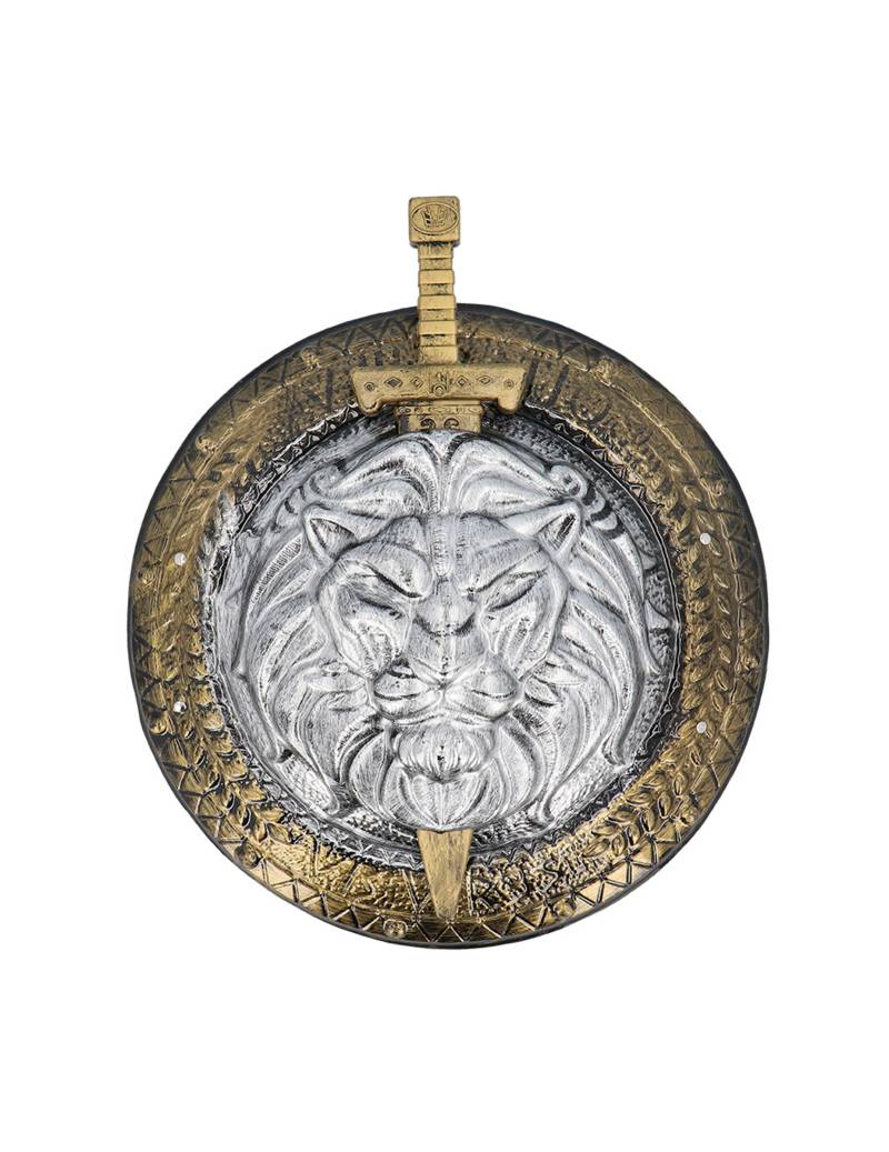 Gladiator Schutzschild und Schwert 2-teilig bronze-silber von BOLAND BV