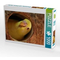 CALVENDO Puzzle 1000 Teile Lege-Größe 64x48cm Foto-Puzzle für glückliche Stunden von Calvendo