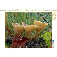 CALVENDO Puzzle Ampulloclitocybe clavipes 2000 Teile Puzzle quer 2000 Teile Lege-Größe 90 × 67 cm Foto-Puzzle für glückliche Stunden CALVENDO Puzzle Ampulloclitocybe clavipes 2000 Teile Puzzle quer 2000 Teile Lege-Größe 90 × 67 cm Foto-Puzzle für glückliche Stunden von CALVENDO Verlag GmbH