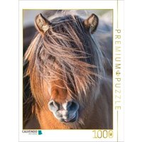 CALVENDO Puzzle Blondlöckchen 1000 Teile Lege-Größe 48 x 64 cm Foto-Puzzle Bild von Ingo Gerlach von Calvendo Puzzle