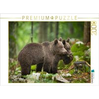 CALVENDO Puzzle Braunbären in Slowenien 2000 Teile Puzzle quer 2000 Teile Lege-Größe 90 × 67 cm Foto-Puzzle für glückliche Stunden von CALVENDO Verlag GmbH