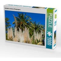 CALVENDO Puzzle Cortaderia selloana (Pampasgras) 1000 Teile Lege-Größe 64x48cm Foto-Puzzle für glückliche Stunden von CALVENDO Verlag GmbH
