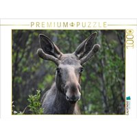 CALVENDO Puzzle Der Elch - Majestät der nordischen Wildnis 1000 Teile Lege-Größe 64x48cm Foto-Puzzle für glückliche Stunden von CALVENDO Verlag GmbH