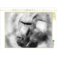 CALVENDO Puzzle Der Pavian 2000 Teile Puzzle quer 2000 Teile Lege-Größe 90 × 67 cm Foto-Puzzle für glückliche Stunden von CALVENDO Verlag GmbH