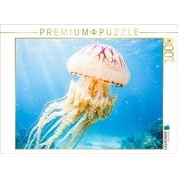 CALVENDO Puzzle Die Riesenqualle 1000 Teile Lege-Größe 64x48cm Foto-Puzzle für glückliche Stunden CALVENDO Puzzle Die Riesenqualle 1000 Teile Lege-Größe 64x48cm Foto-Puzzle für glückliche Stunden von CALVENDO Verlag GmbH