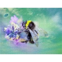 CALVENDO Puzzle Die kleine Hummel auf Nektarsuche 1000 Teile Lege-Größe 64x48cm Foto-Puzzle für glückliche Stunden CALVENDO Puzzle Die kleine Hummel auf Nektarsuche 1000 Teile Lege-Größe 64x48cm Foto-Puzzle für glückliche Stunden von Calvendo Puzzle
