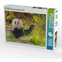 CALVENDO Puzzle Ein Motiv aus dem Kalender Der Große Panda Ein kuscheliger Geselle 1000 Teile Lege-Größe 64x48cm Foto-Puzzle für glückliche Stunden von CALVENDO Verlag GmbH