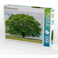 CALVENDO Puzzle Ein Motiv aus dem Kalender Eiche in den vier Jahreszeiten. 1000 Teile Lege-Größe 64x48cm Foto-Puzzle für glückliche Stunden CALVENDO Puzzle Ein Motiv aus dem Kalender Eiche in den vier Jahreszeiten. 1000 Teile Lege-Größe 64x48cm Foto-Puzzle für glückliche Stunden von Calvendo Puzzle
