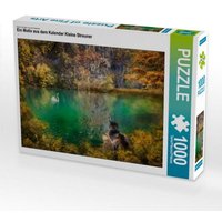 CALVENDO Puzzle Ein Motiv aus dem Kalender Kleine Streuner 1000 Teile Lege-Größe 64x48cm Foto-Puzzle für glückliche Stunden von Calvendo Puzzle