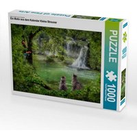 CALVENDO Puzzle Ein Motiv aus dem Kalender Kleine Streuner 1000 Teile Lege-Größe 64x48cm Foto-Puzzle für glückliche Stunden von Calvendo Puzzle