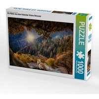 CALVENDO Puzzle Ein Motiv aus dem Kalender Kleine Streuner 1000 Teile Lege-Größe 64x48cm Foto-Puzzle für glückliche Stunden CALVENDO Puzzle Ein Motiv aus dem Kalender Kleine Streuner 1000 Teile Lege-Größe 64x48cm Foto-Puzzle für glückliche Stunden von Calvendo Puzzle