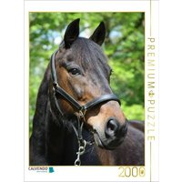 CALVENDO Puzzle Ein Motiv aus dem Kalender Traumhafte Pferdeportraits 2000 Teile Puzzle hoch 2000 Teile Lege-Größe 90 × 67 cm Foto-Puzzle für glückliche Stunden von CALVENDO Verlag GmbH