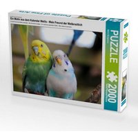 CALVENDO Puzzle Ein Motiv aus dem Kalender Wellis - Mein Freund der Wellensittich 2000 Teile Lege-Größe 90 × 67 cm Foto-Puzzle für glückliche Stunden CALVENDO Puzzle Ein Motiv aus dem Kalender Wellis - Mein Freund der Wellensittich 2000 Teile Lege-Größe 90 × 67 cm Foto-Puzzle für glückliche Stunden von CALVENDO Verlag GmbH