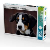 CALVENDO Puzzle Entlebucherr Sennenhunde begleiten Sie durch das Jahr 1000 Teile Lege-Größe 64 x 48 cm Foto-Puzzle Bild von SchnelleWelten von CALVENDO Verlag GmbH