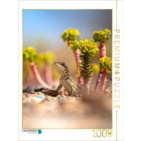 CALVENDO Puzzle Euphorbia Sukkulente und Eidechse 1000 Teile Lege-Größe 64x48cm Foto-Puzzle für glückliche Stunden von CALVENDO Verlag GmbH