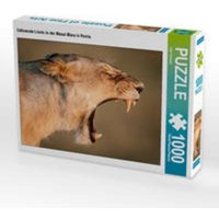 CALVENDO Puzzle Gähnende Löwin in der Masai Mara in Kenia. 1000 Teile Lege-Größe 64x48cm Foto-Puzzle für glückliche Stunden von Calvendo Puzzle
