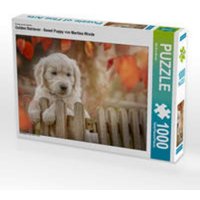 CALVENDO Puzzle Golden Retriever - Sweet Puppy von Martina Wrede 1000 Teile Lege-Größe 64 x 48 cm Foto-Puzzle Bild von Martina Wrede CALVENDO Puzzle Golden Retriever - Sweet Puppy von Martina Wrede 1000 Teile Lege-Größe 64 x 48 cm Foto-Puzzle Bild von Martina Wrede von Calvendo