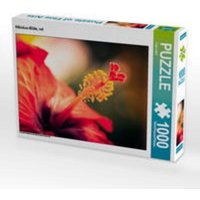 CALVENDO Puzzle Hibiskus-Blüte, rot 1000 Teile Lege-Größe 64x48cm Foto-Puzzle für glückliche Stunden von Calvendo Puzzle
